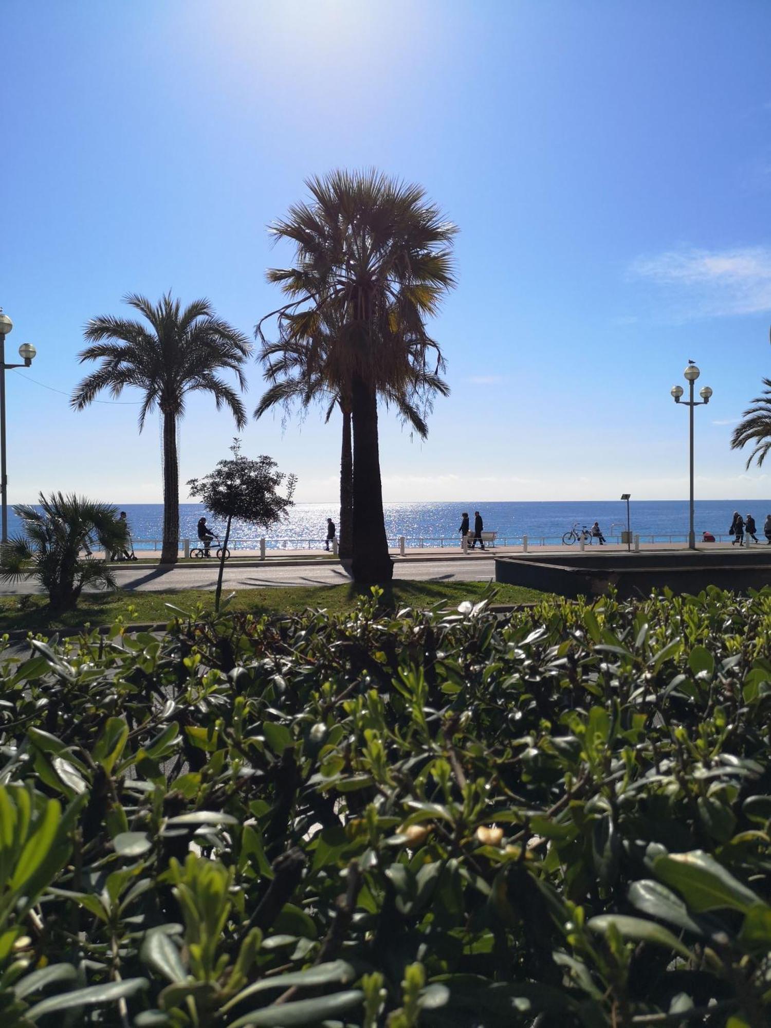 Appartement Garden Atlantide Promenade à Nice Extérieur photo
