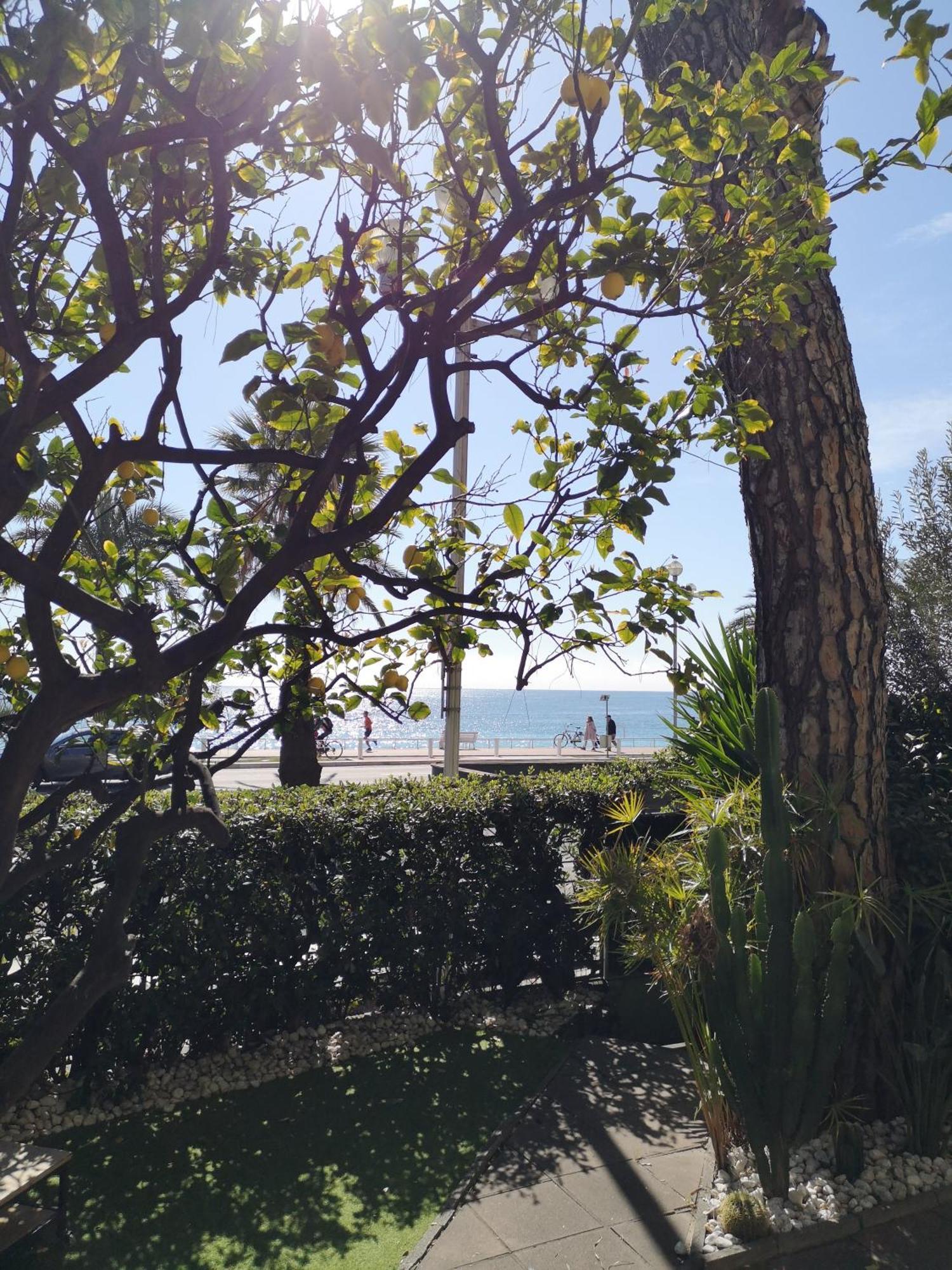 Appartement Garden Atlantide Promenade à Nice Extérieur photo