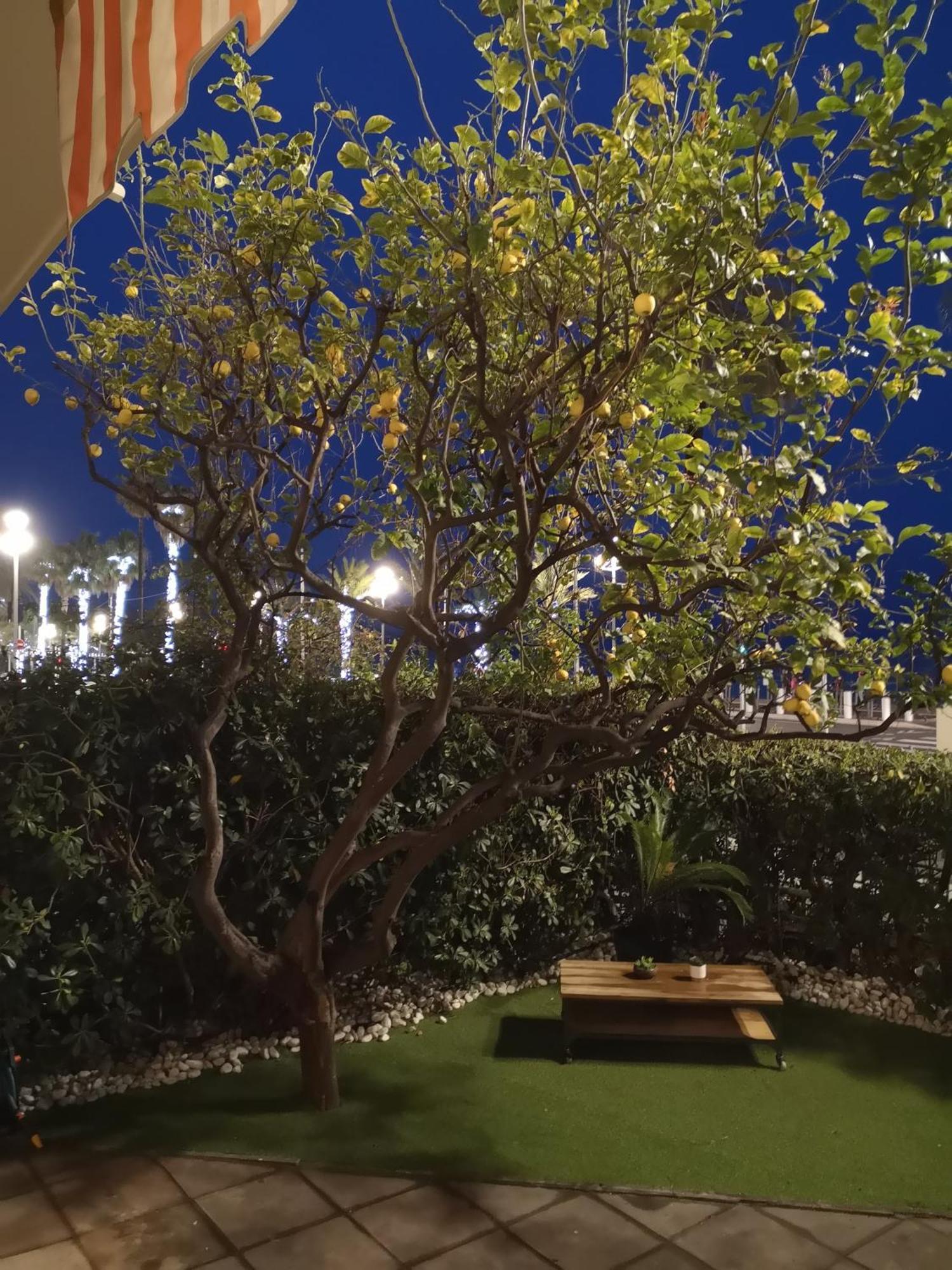 Appartement Garden Atlantide Promenade à Nice Extérieur photo