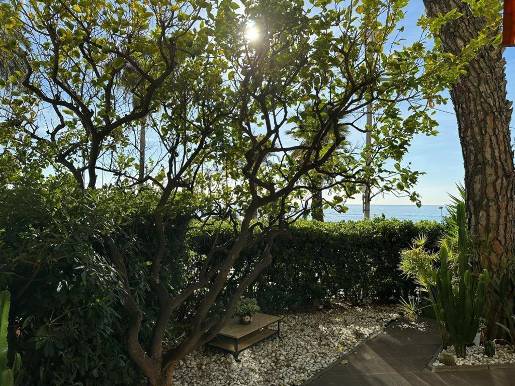 Appartement Garden Atlantide Promenade à Nice Extérieur photo